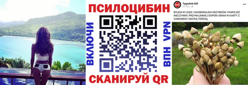 даркнет клад  Кострома  Галлюциногенные грибы GOLDEN TEACHER 